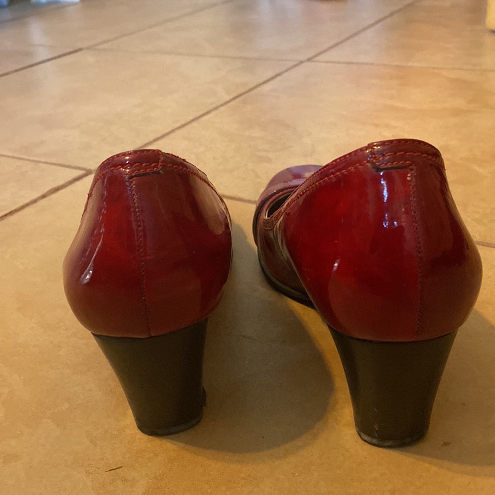 Echo Pumps - image 4